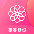国外网站加速器